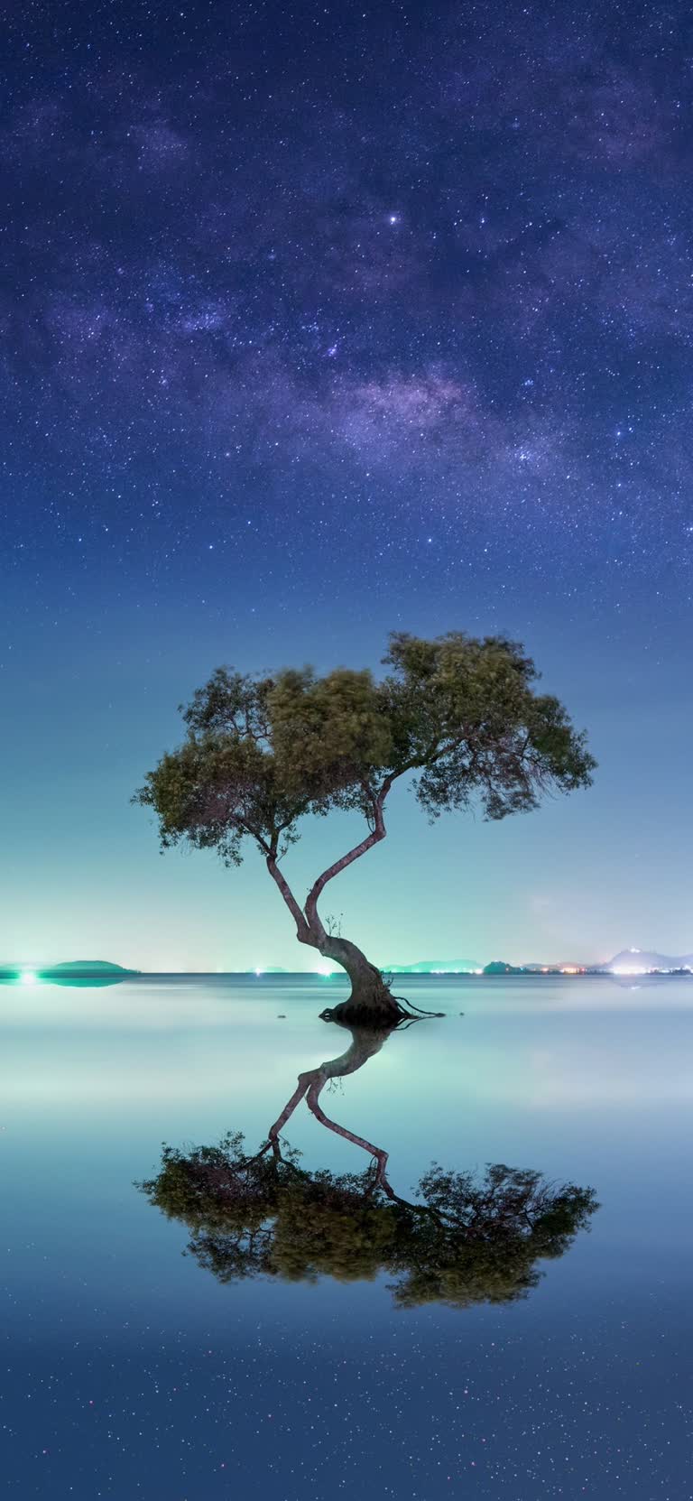 水体中央有一棵孤树