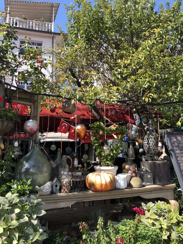 花园里陈列着很多植物和装饰品