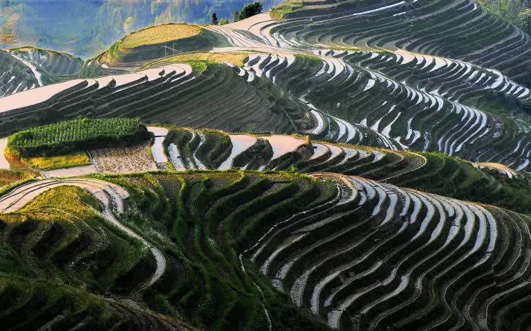 山坡上有很多梯田