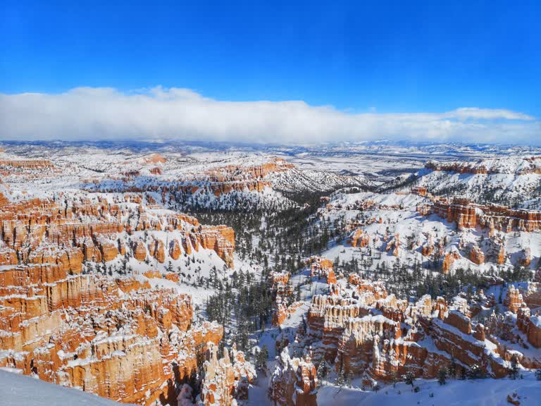 有一个人,站在山上的雪地里