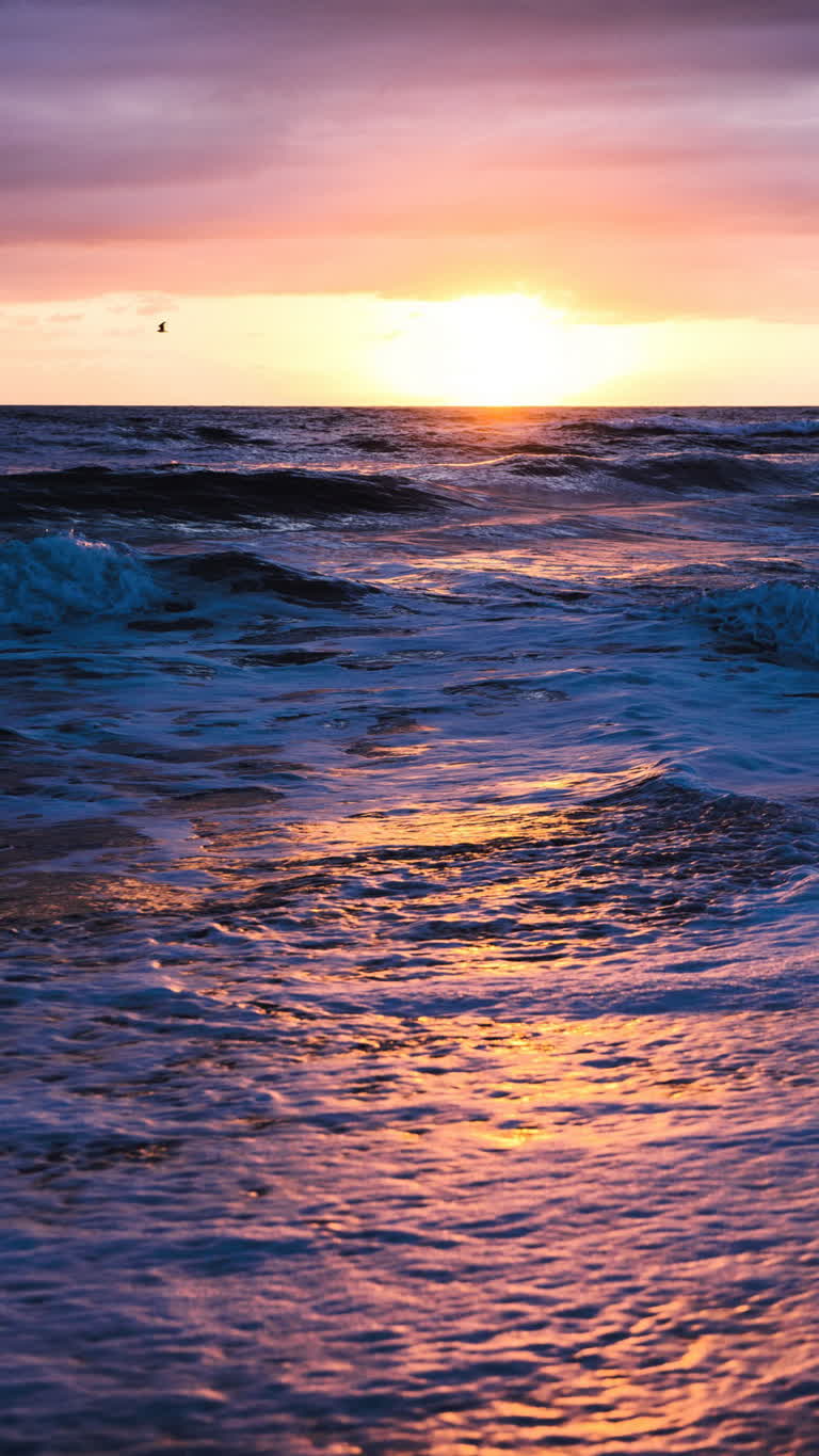 夕阳时分,海中站着一个男人的冲浪板