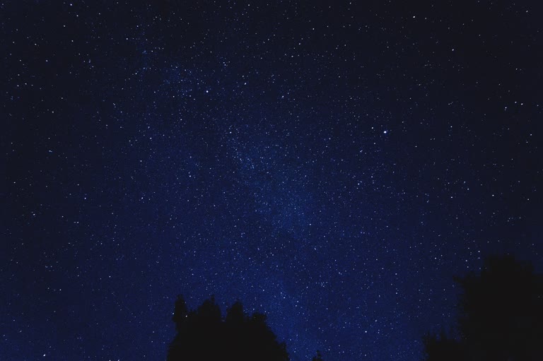前景是星星和树木轮廓的夜空