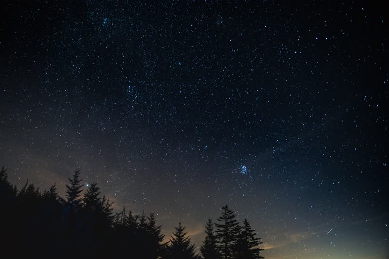 前景是星星和树木的夜空