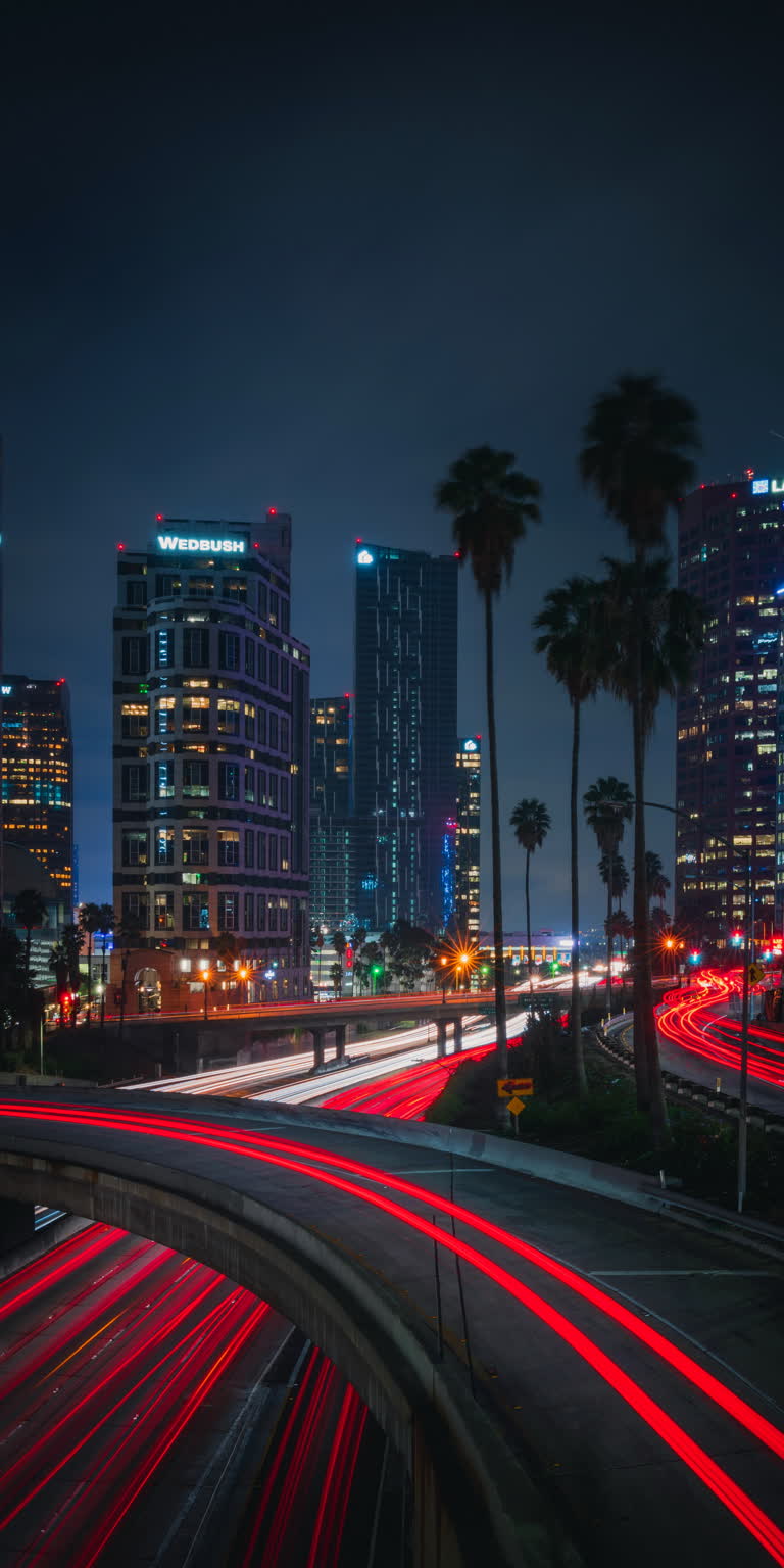 城市天际线的夜景,有高速公路和棕榈树