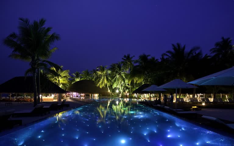 被棕榈树和遮阳伞环绕的游泳池夜景