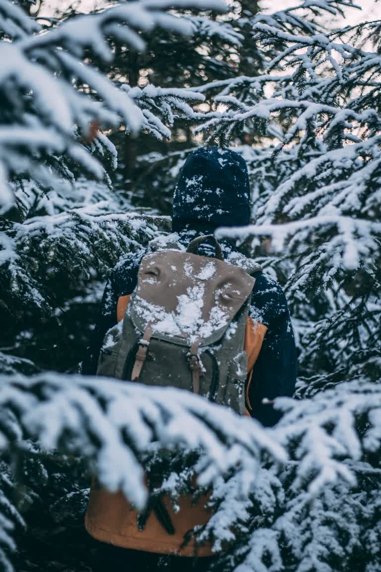 有一个背着背包的人走在白雪皑皑的森林里