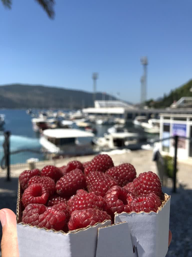 水前有一个人拿着一盒覆盆子