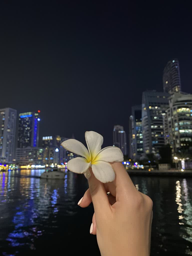 有一个人在水体前捧着一朵花