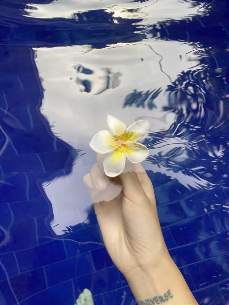 有一个人在水池里拿着一朵花