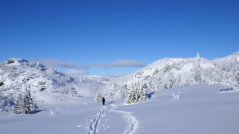 有一个人正在雪山上滑雪