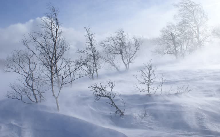 有一个人骑着滑雪板从雪山上下来