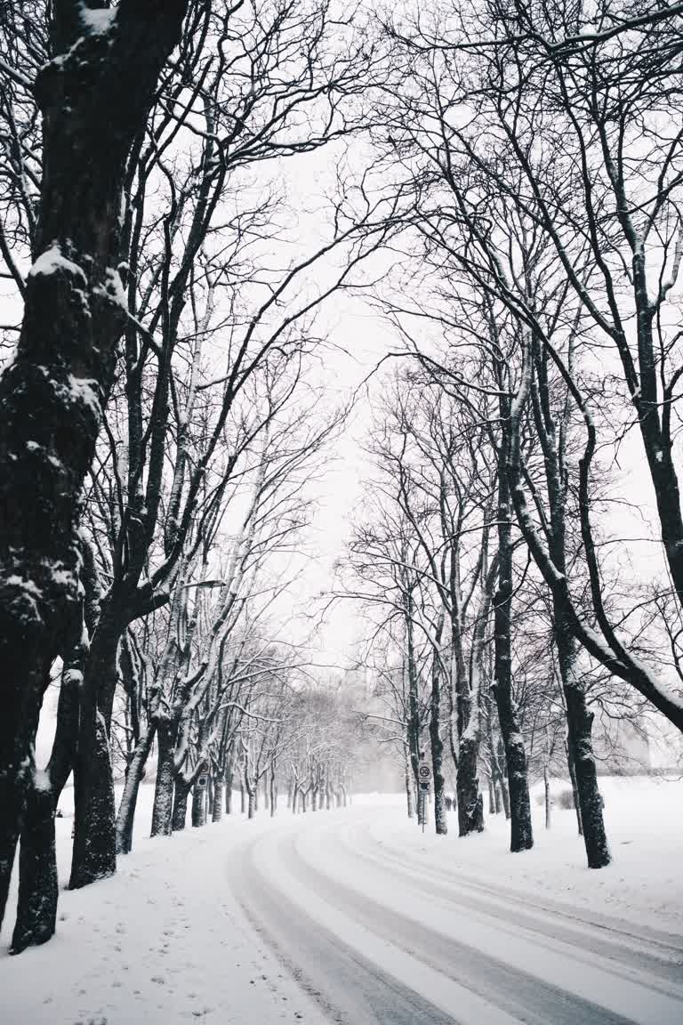 有一个人走在树林里的一条积雪覆盖的道路上