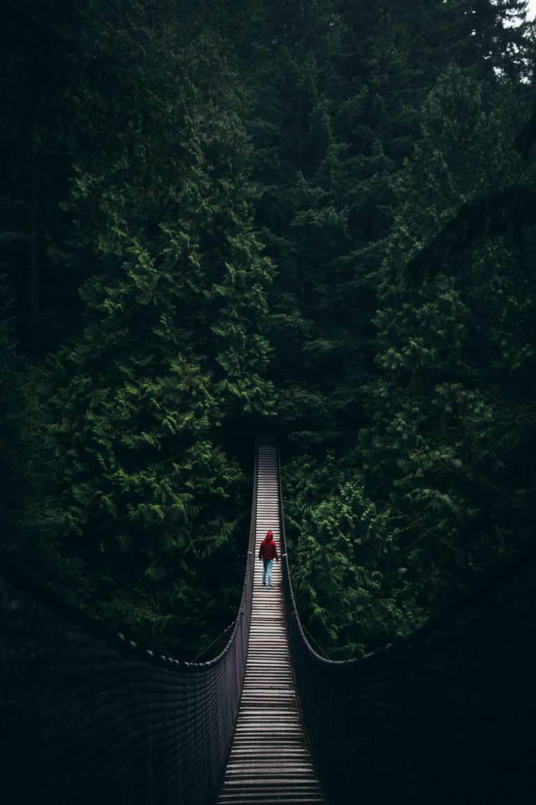 树林里有一个人走过吊桥