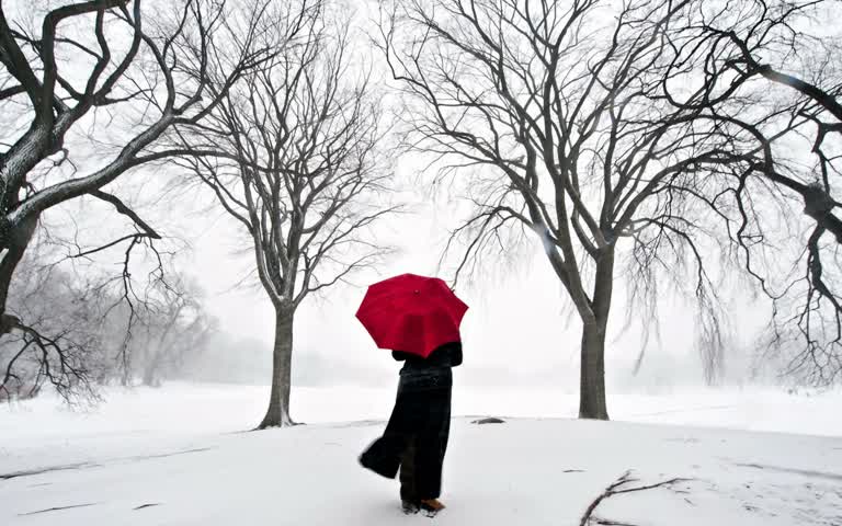 一张打着红伞在雪地里行走的人的照片