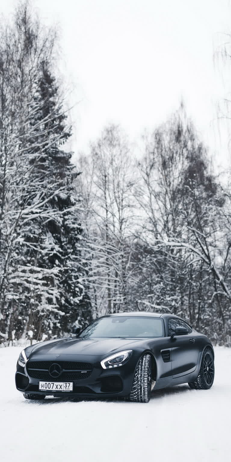 这是一辆黑色跑车在雪地里行驶的图片