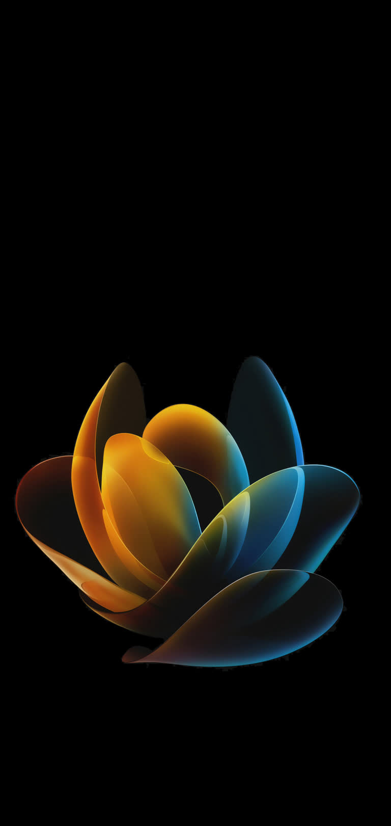 有一张黑色背景上一朵五颜六色的花朵的图片