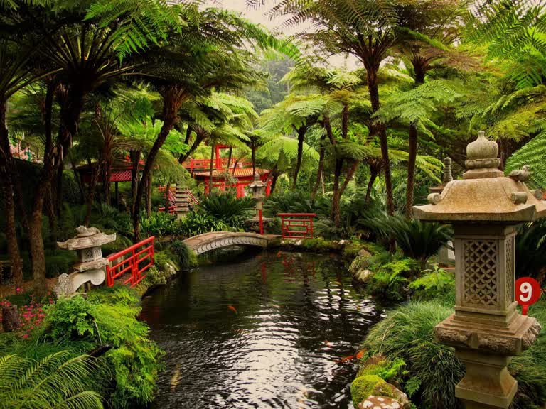 这是一张有池塘和桥梁的日本花园的照片