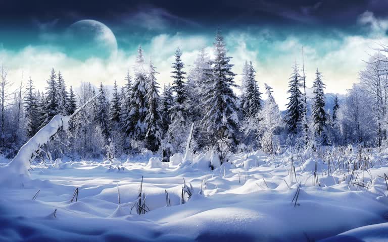 有一张背景是树木的雪原图片