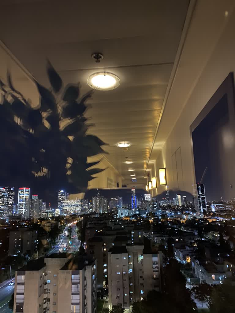 有一张城市夜景的图片