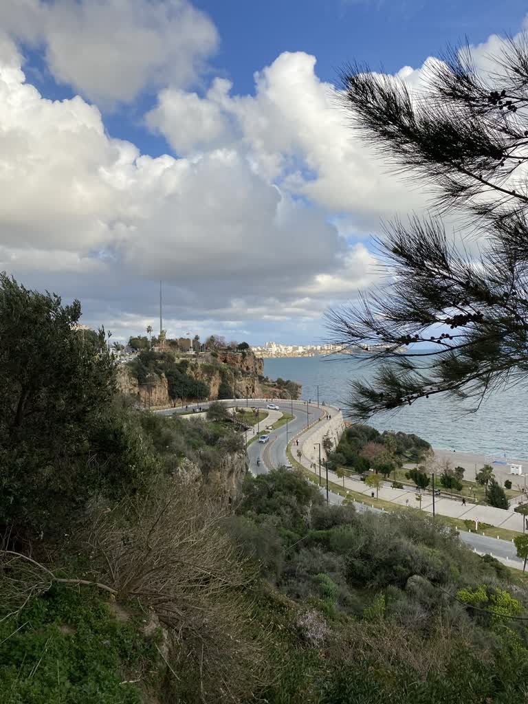 这是一张从山上看海景的照片