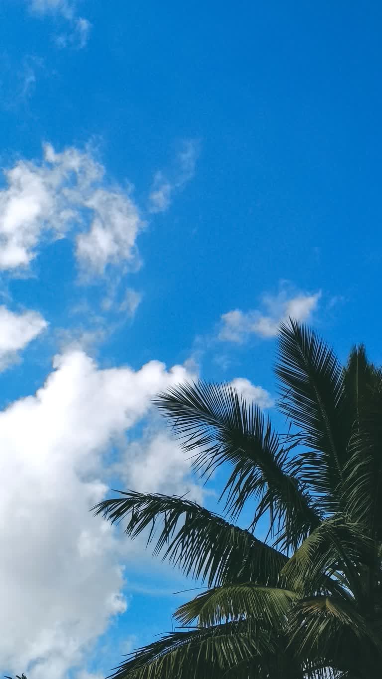 有一架飞机在高空飞行