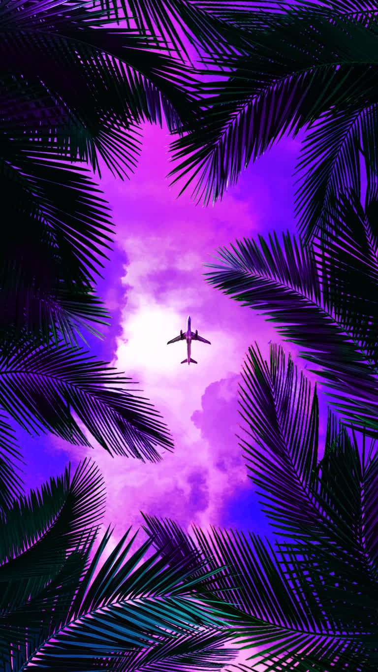 有一架飞机在一些棕榈树之间在天空中飞行
