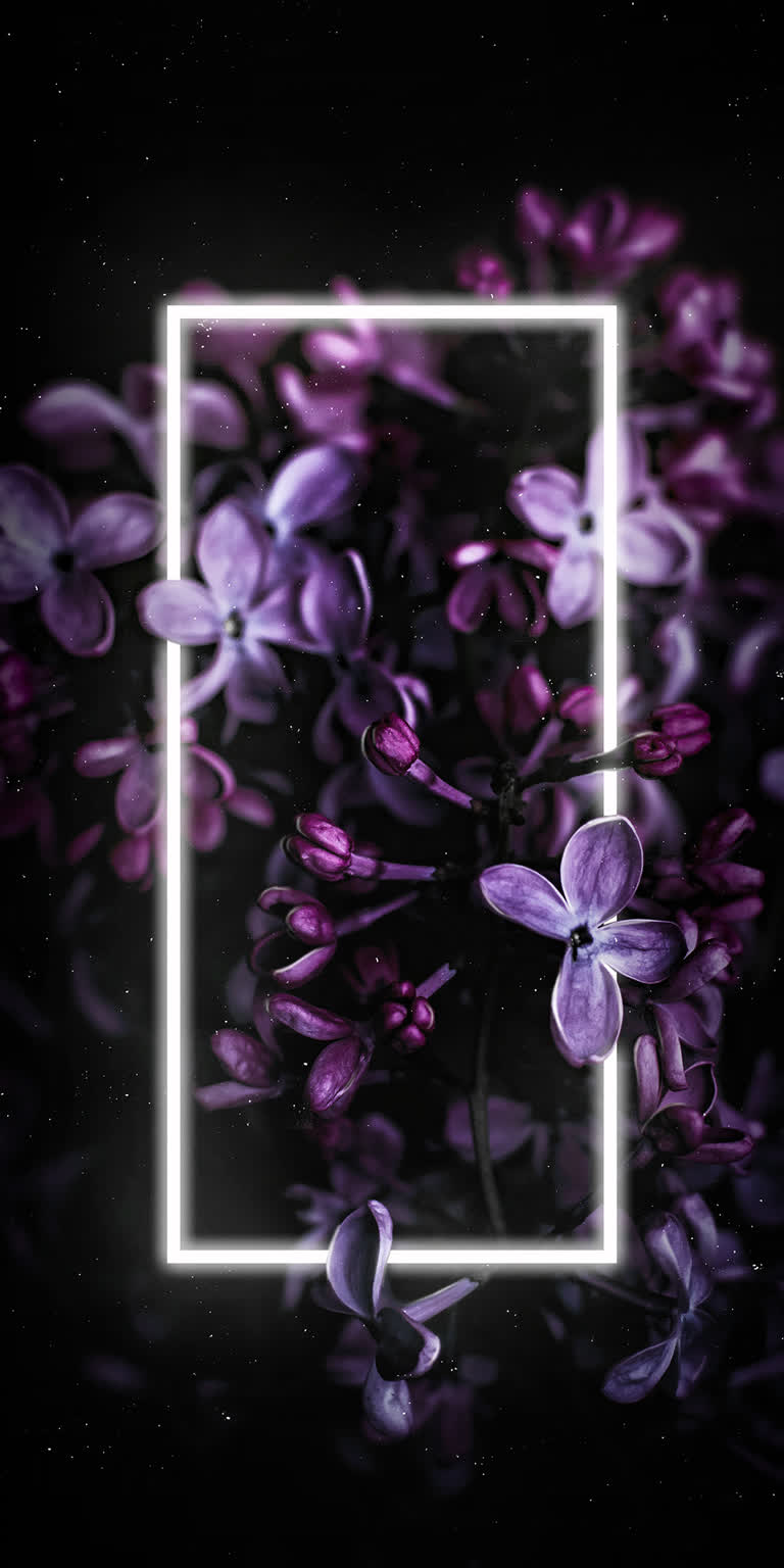 有一朵紫色的花,中间有一个白色的框架