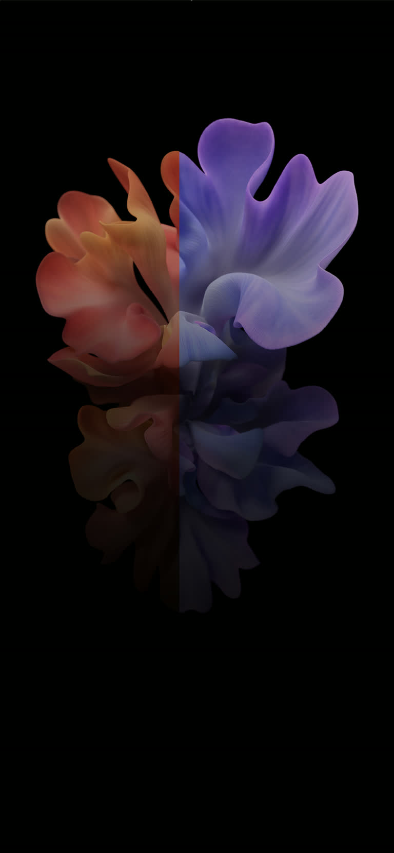 紫色和橙色的花朵坐在黑色表面上