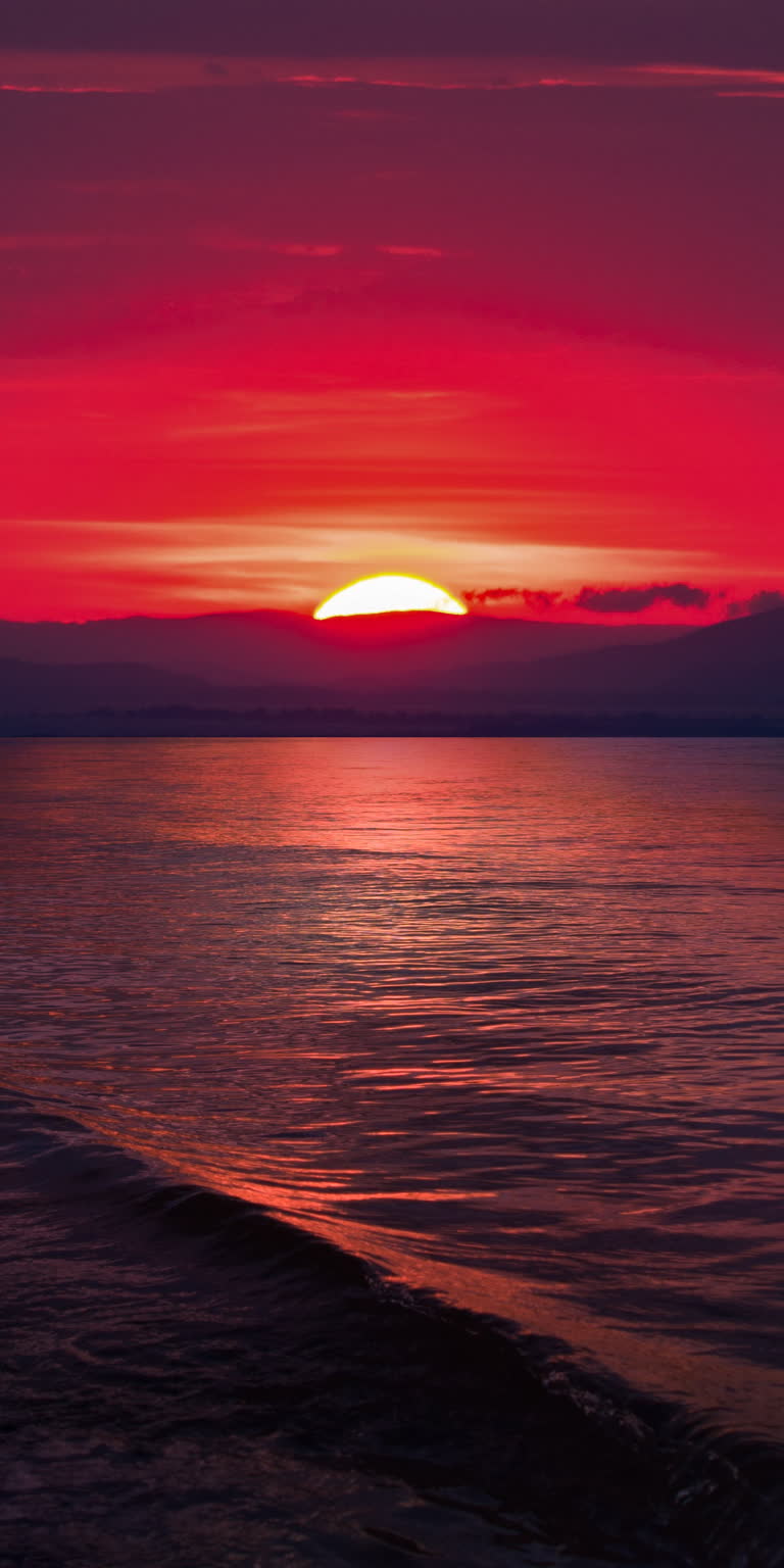 紫红夕阳在海上,岸边有一只孤鸟