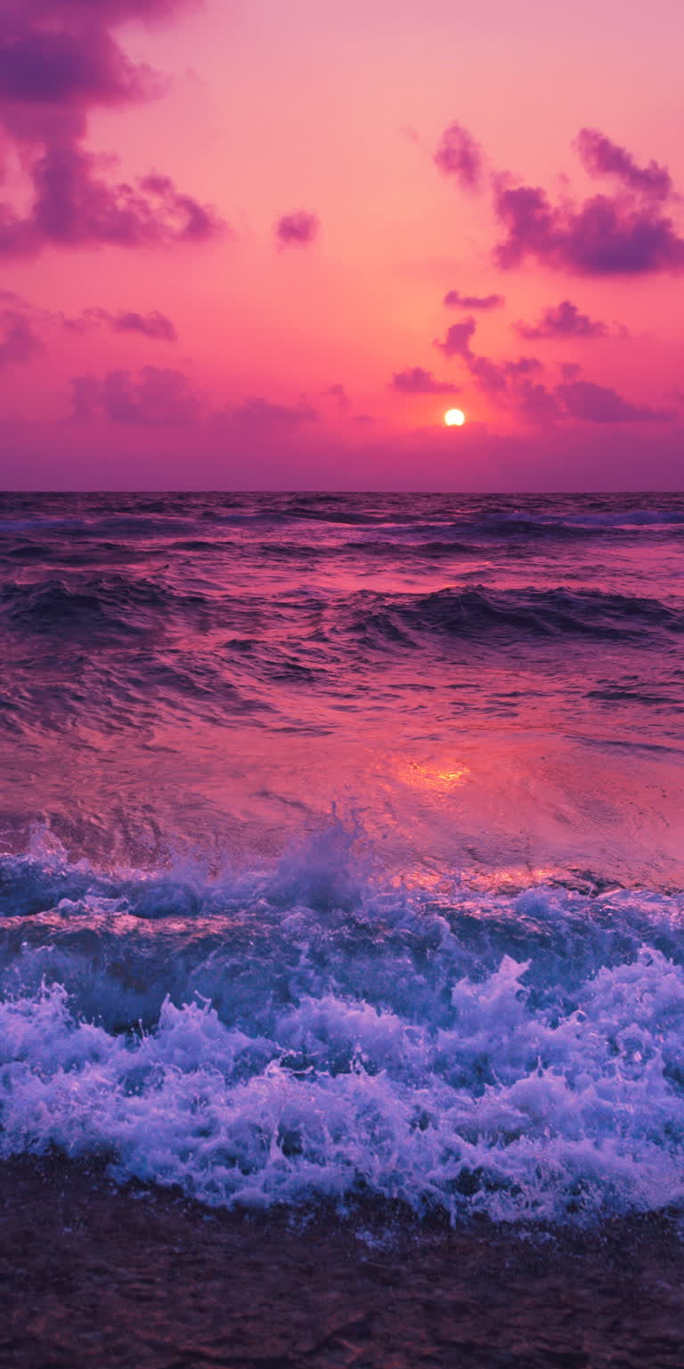 海面上泛着紫色的夕阳,海浪拍打着