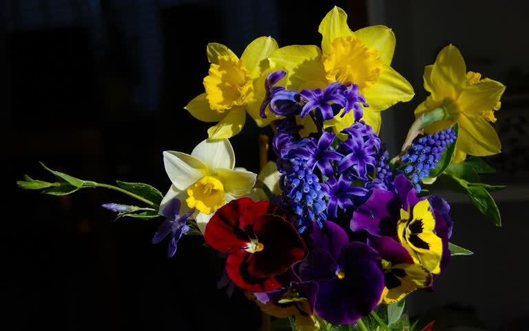 桌子上玻璃花瓶里的紫色和黄色花朵