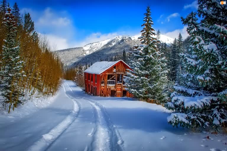 在白雪覆盖的森林中间有一间红色的小屋