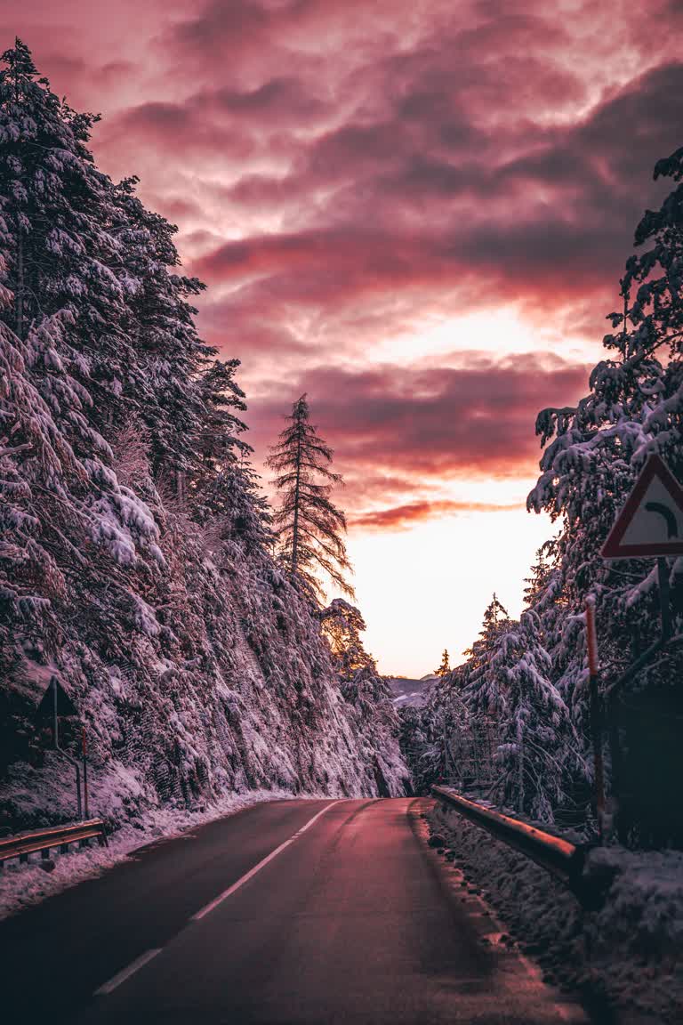 有一条路,路边有积雪