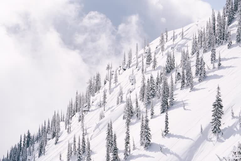有一位滑雪者正在滑雪下山