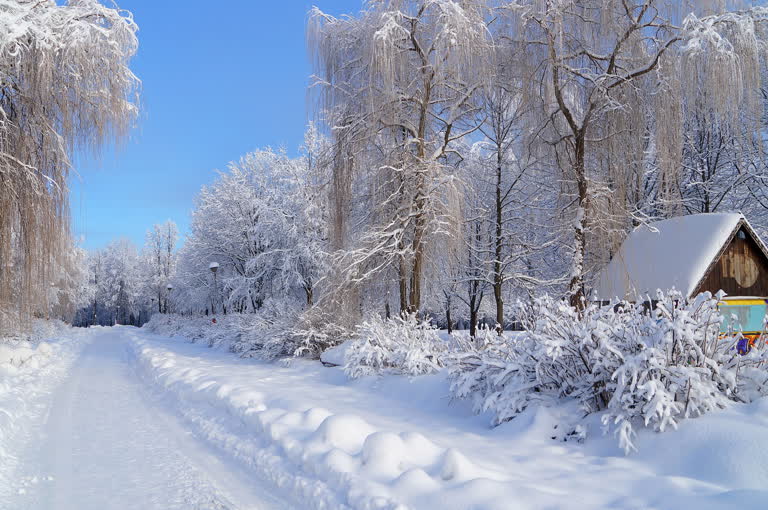 在白雪覆盖的森林中间有一间小木屋