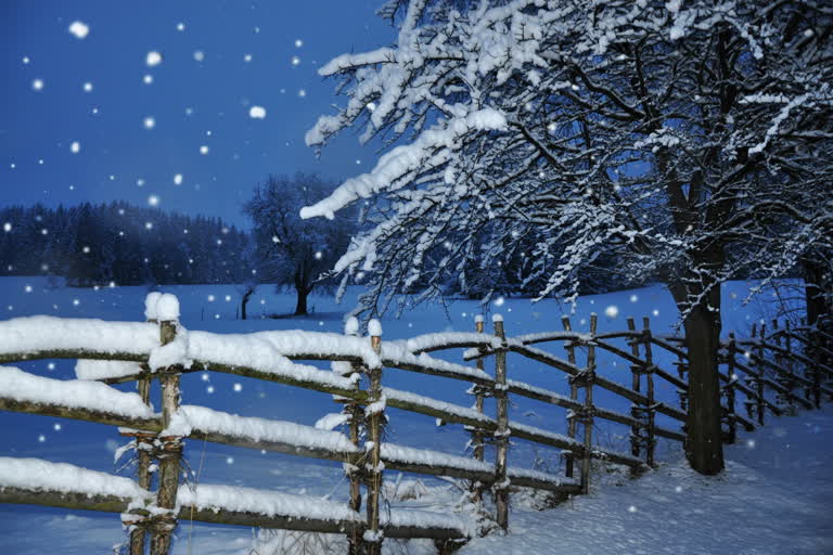 雪原中央有一道白雪覆盖的栅栏