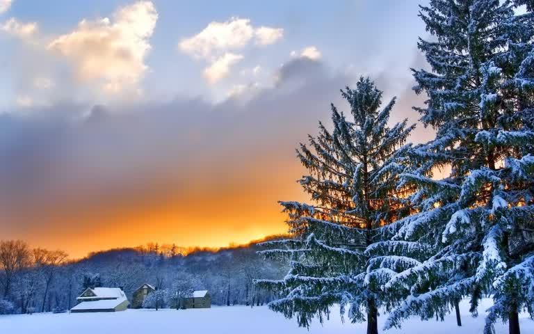 远处是一片白雪覆盖的绿树成荫的田野和一个谷仓