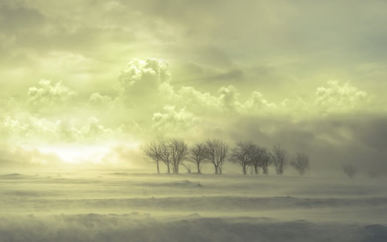 前景是一片白雪皑皑的田野,前景是树木