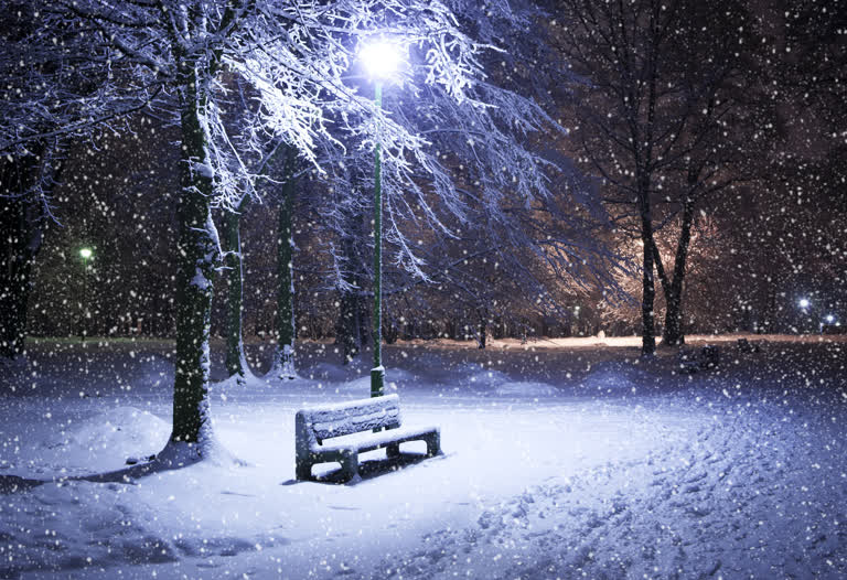 半夜有白雪覆盖的公园长椅
