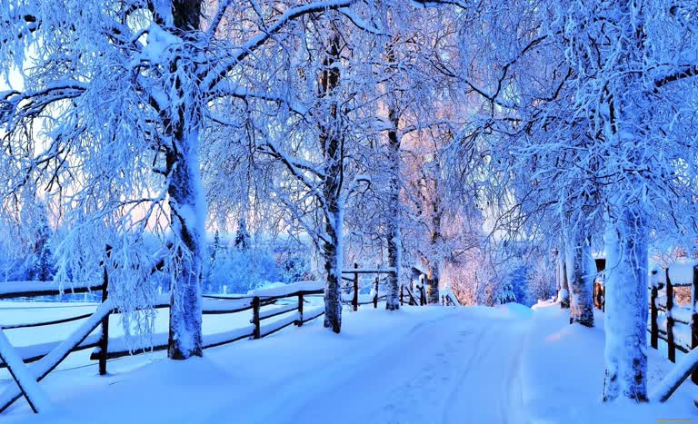 有一条白雪覆盖的小路通向栅栏