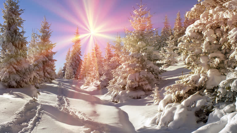 在白雪皑皑的森林中间有一条白雪覆盖的小路