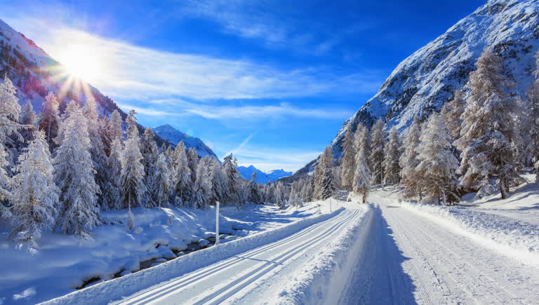 半山有一条积雪覆盖的道路