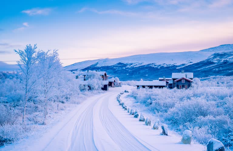雪原中间有一条积雪覆盖的道路