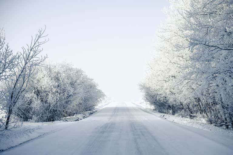 有一条白雪覆盖的道路,两旁种满了树木