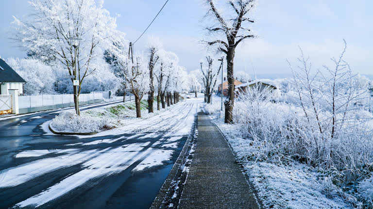 有一条白雪覆盖的街道,两旁都是树木和灌木丛