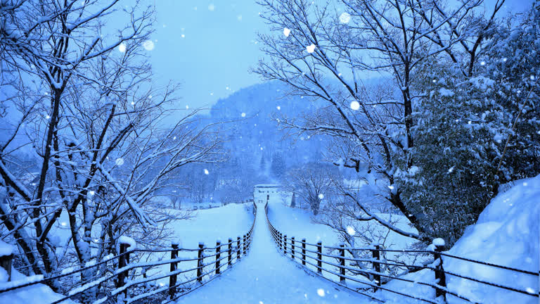 有雪落在地上,背景是树木