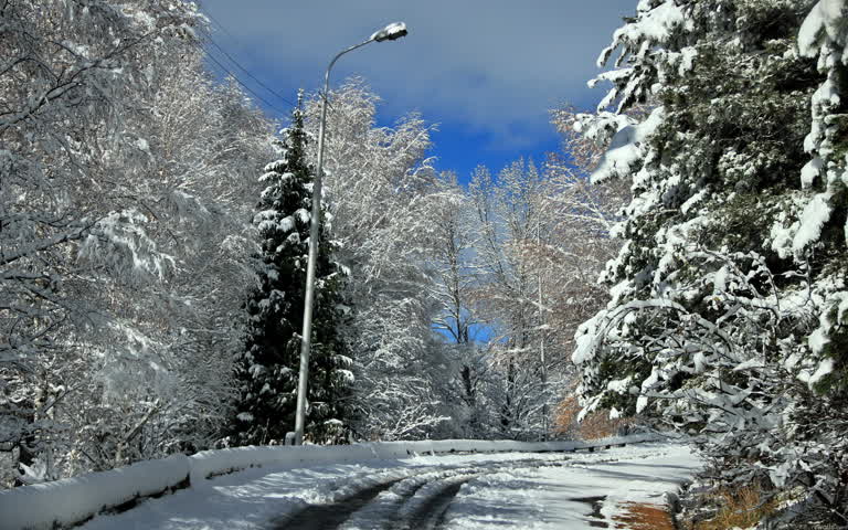 地上有雪,远处有路灯