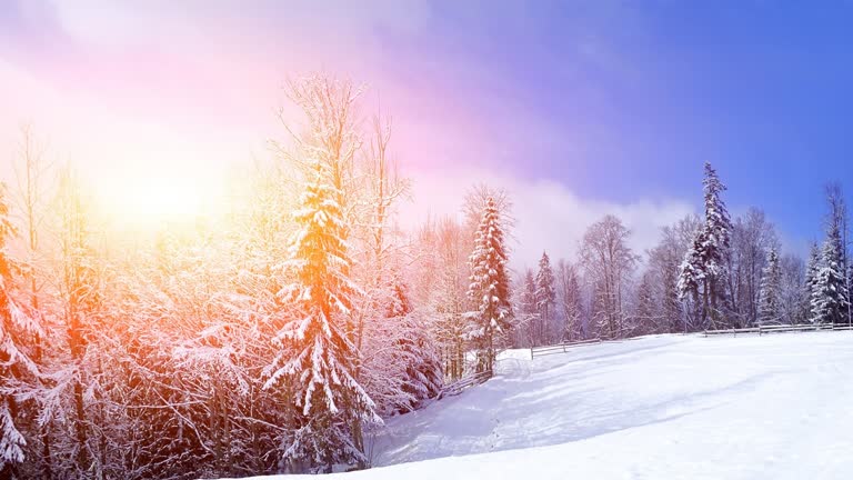有一个滑雪板运动员正在下雪山