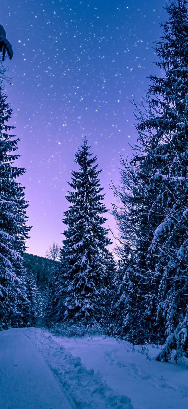 有一位单板滑雪者在雪地上空中表演技巧