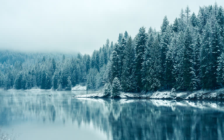 白雪皑皑的树木排列在森林中央的湖岸边
